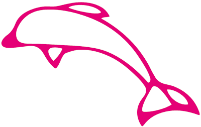 Mai kedvenc állatunk: a delfin!