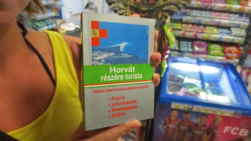Zseniális fordítók bámulatos történetei